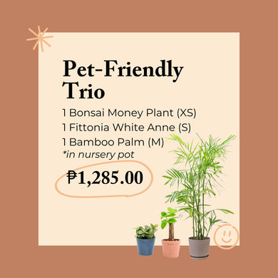 Pet-Friendly Trio