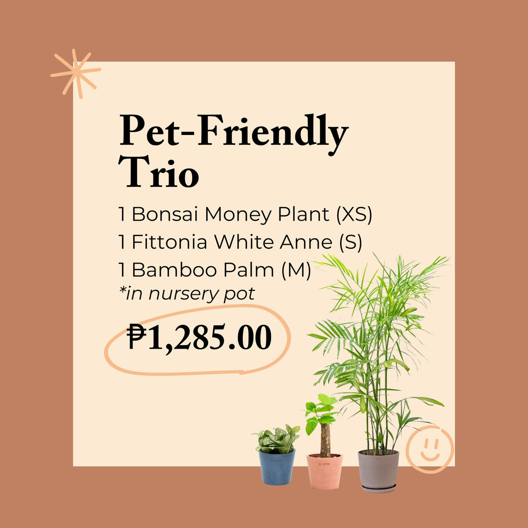 Pet-Friendly Trio