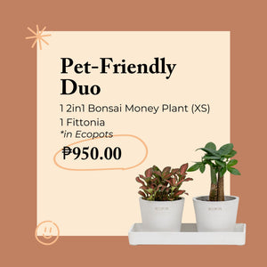 Pet-Friendly Duo in Ecopots