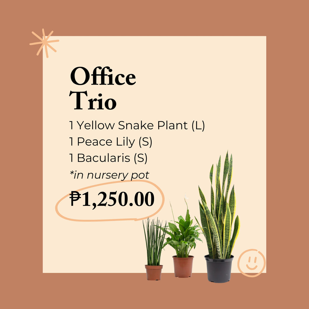 Office Trio