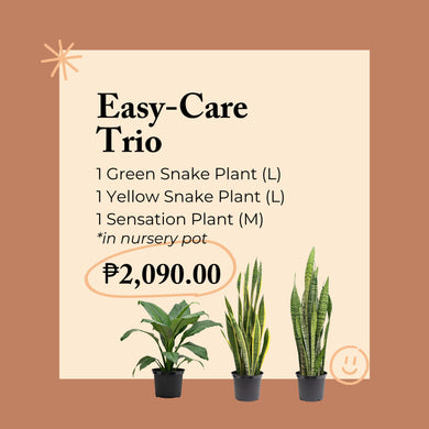 Easy-Care Trio