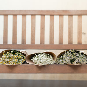 Baby's Breath Bouquet