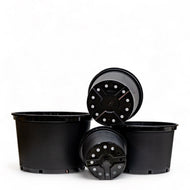 Basic Black Pot