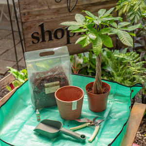 Get Your Hands Dirty Kit