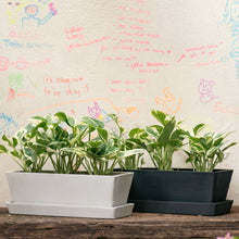 Load image into Gallery viewer, 3in1 Pothos N&#39;Joy (XS) in Ecopots