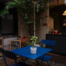 Load image into Gallery viewer, Lucky Bamboo (S) in Ecopots