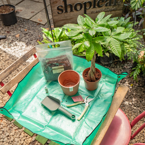 Get Your Hands Dirty Kit