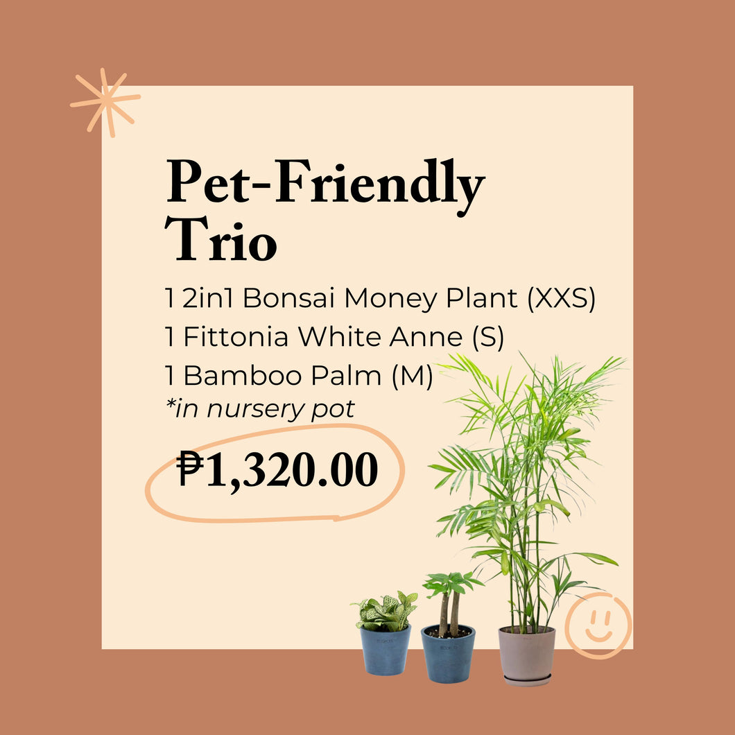 Pet-Friendly Trio