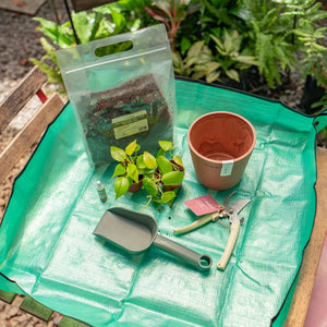Get Your Hands Dirty Kit