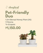 Load image into Gallery viewer, Pet-Friendly Duo in Ecopots