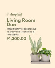 Load image into Gallery viewer, Living Room Duo in Ecopots