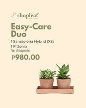 Load image into Gallery viewer, Easy-Care Duo in Ecopots