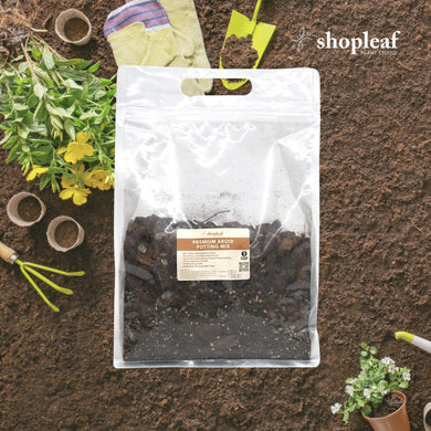 Aroid Potting Mix