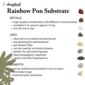 Rainbow Pon Substrate