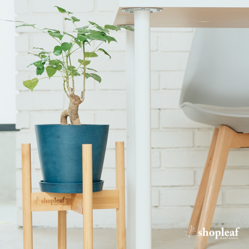 Shopleaf Adjustable Bamboo Plant Stand