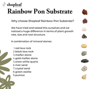 Rainbow Pon Substrate