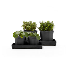 Load image into Gallery viewer, Ecopots Display Platter Amsterdam Mini 25