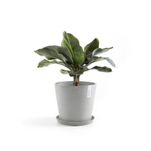 Load image into Gallery viewer, Ecopots Amsterdam 30 with Water Reservoir