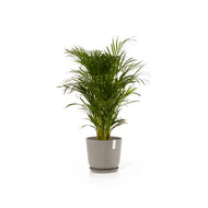 Ecopots Oslo 35 with Water Reservoir
