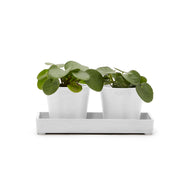 Ecopots Display Platter Amsterdam Mini 20