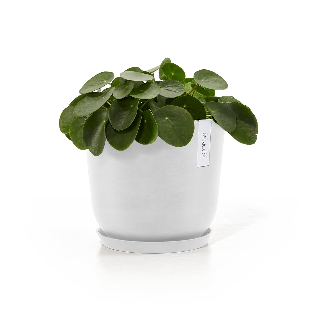 Ecopots Oslo 25 with Water Reservoir