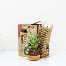 将图片加载到图库查看器，Janet Craig Kokedama