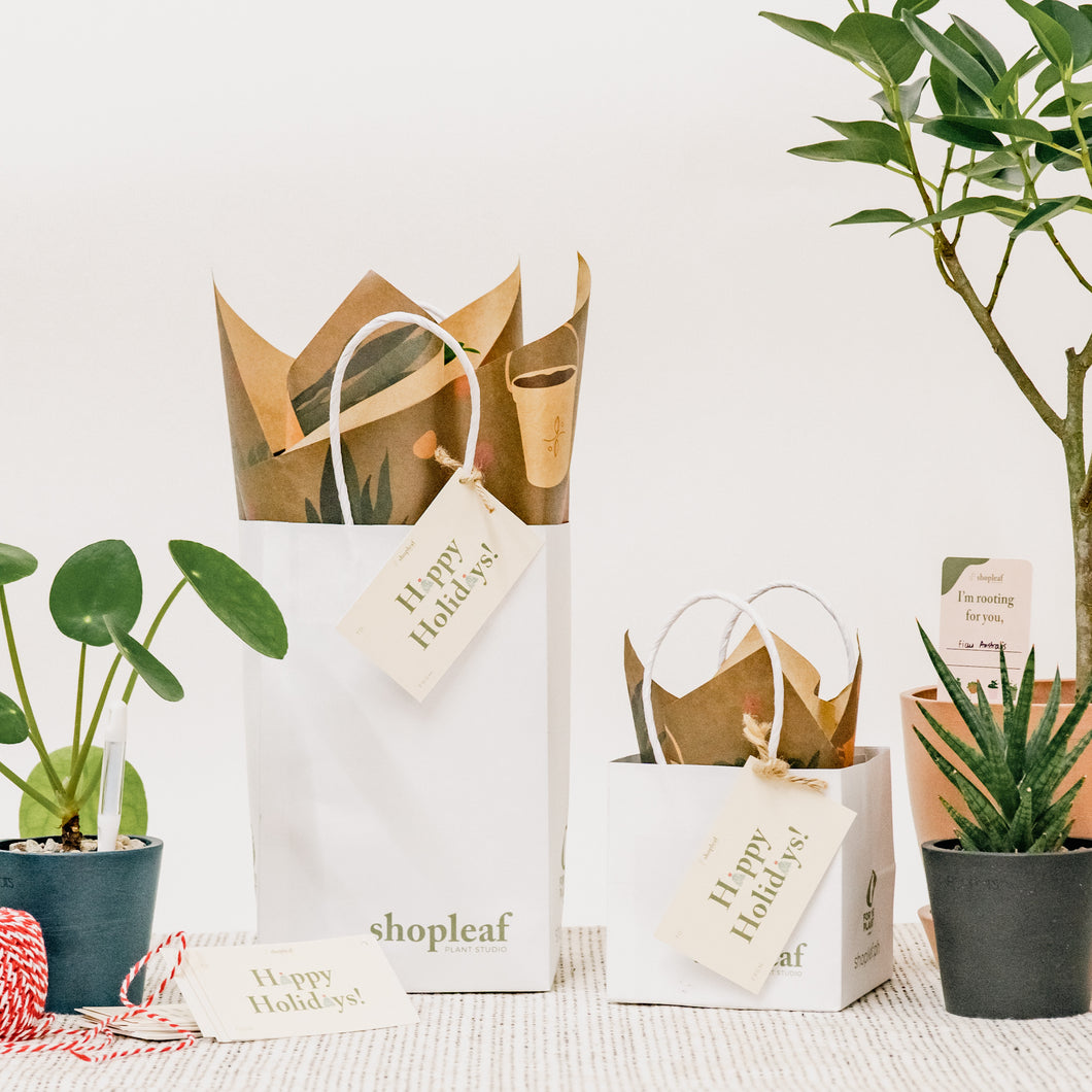 Gift Packaging