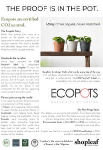 Bacularis (XS) in Ecopots