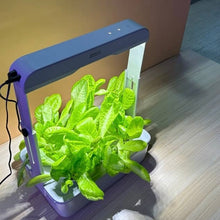 Load image into Gallery viewer, Sansi Hydroponics Grow System