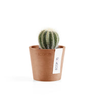 Ecopots Amsterdam Mini 8