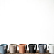 Load image into Gallery viewer, Peperomia Rosso (XS)
