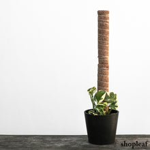 Load image into Gallery viewer, Shopleaf Stackable Plant Pole